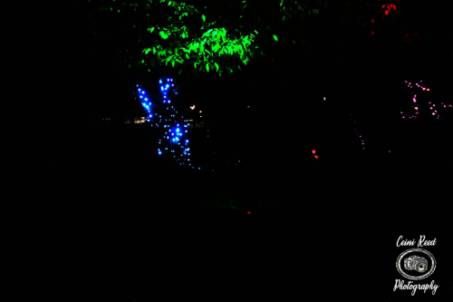 421262017_863944699073402_5769047964038356189_n