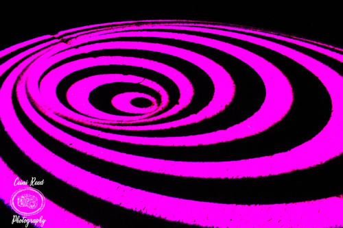 421272538_863940489073823_4393777302103035989_n